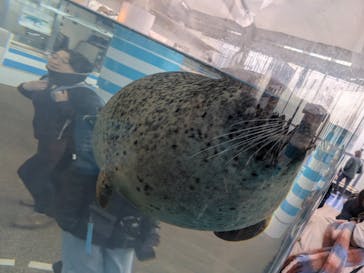 京都水族館に投稿された画像（2025/12/29）