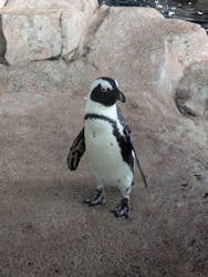 京都水族館に投稿された画像（2025/12/29）