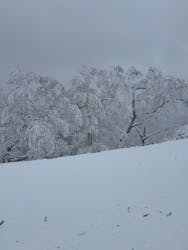 星野リゾート　トマムスキー場に投稿された画像（2025/12/29）