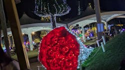 美らヤシパークオキナワ・東南植物楽園に投稿された画像（2025/12/29）