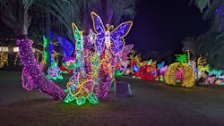 美らヤシパークオキナワ・東南植物楽園に投稿された画像（2025/12/29）