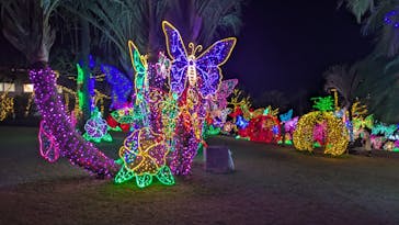 美らヤシパークオキナワ・東南植物楽園に投稿された画像（2025/12/29）