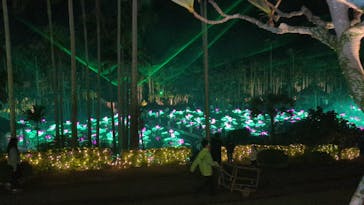 美らヤシパークオキナワ・東南植物楽園に投稿された画像（2025/12/29）