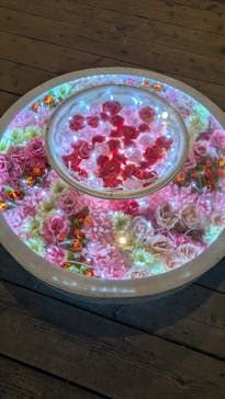 美らヤシパークオキナワ・東南植物楽園に投稿された画像（2025/12/29）