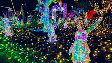 伊豆高原グランイルミに投稿された画像（2025/12/29）