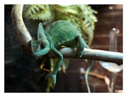 NARA KINGYO MUSEUMに投稿された画像（2025/12/29）