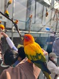 掛川花鳥園に投稿された画像（2025/12/29）