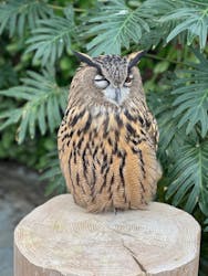 掛川花鳥園に投稿された画像（2025/12/29）