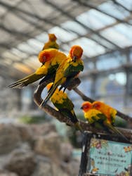 掛川花鳥園に投稿された画像（2025/12/29）