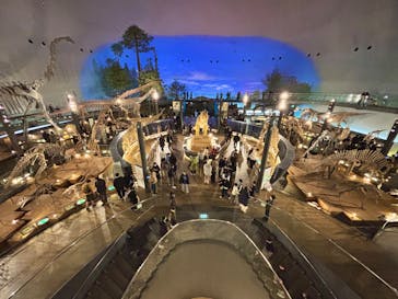 福井県立恐竜博物館に投稿された画像（2025/12/29）