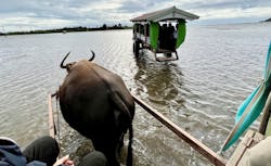 石垣島ドリーム観光に投稿された画像（2025/12/29）