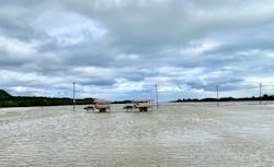 石垣島ドリーム観光に投稿された画像（2025/12/29）