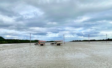 石垣島ドリーム観光に投稿された画像（2025/12/29）