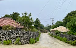 石垣島ドリーム観光に投稿された画像（2025/12/29）