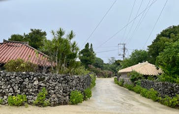 石垣島ドリーム観光に投稿された画像（2025/12/29）