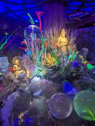 ひらかたパークに投稿された画像（2025/12/29）