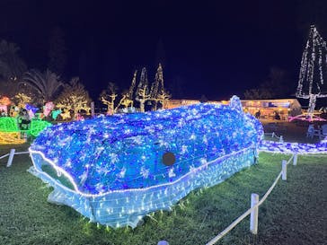 美らヤシパークオキナワ・東南植物楽園に投稿された画像（2025/12/29）