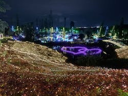 美らヤシパークオキナワ・東南植物楽園に投稿された画像（2025/12/29）