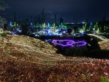 美らヤシパークオキナワ・東南植物楽園に投稿された画像（2025/12/29）