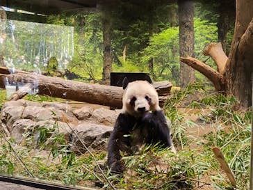 恩賜上野動物園に投稿された画像（2025/12/29）