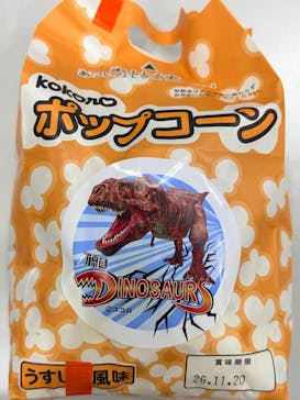 吠える！動く！恐竜ミュージアムに投稿された画像（2025/12/29）