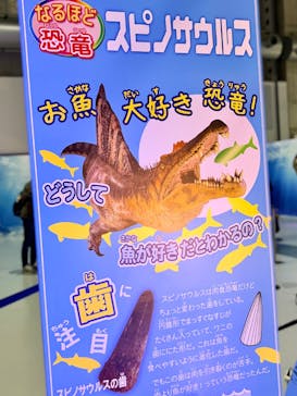 吠える！動く！恐竜ミュージアムに投稿された画像（2025/12/29）