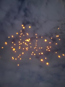 ニュー・グリーンピア津南に投稿された画像（2025/12/29）