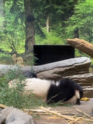 恩賜上野動物園に投稿された画像（2025/12/29）