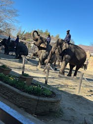 ANIMAL WONDER REZOURT 市原ぞうの国・サユリワールドに投稿された画像（2025/12/29）