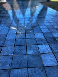 彫刻の森美術館に投稿された画像（2025/12/29）