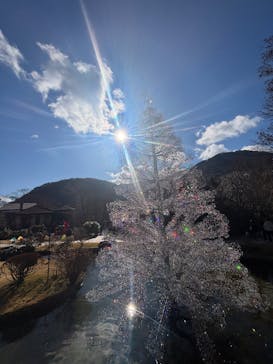 箱根ガラスの森美術館に投稿された画像（2025/12/29）