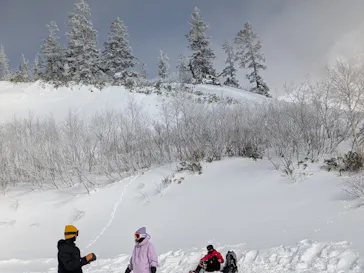 川場スキー場に投稿された画像（2025/12/29）