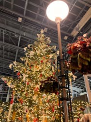 安城産業文化公園デンパークに投稿された画像（2025/12/29）