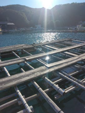 志摩市浜島磯体験施設 海ほおずきに投稿された画像（2025/12/29）