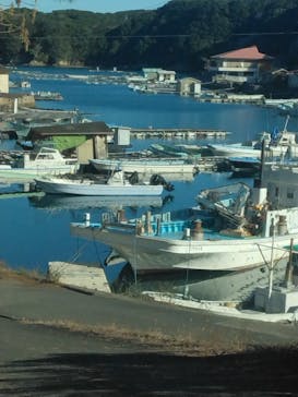 志摩市浜島磯体験施設 海ほおずきに投稿された画像（2025/12/29）