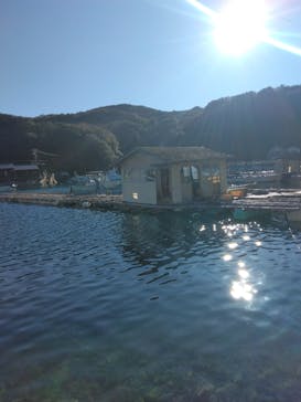 志摩市浜島磯体験施設 海ほおずきに投稿された画像（2025/12/29）