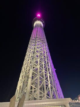 東京スカイツリーに投稿された画像（2025/12/29）