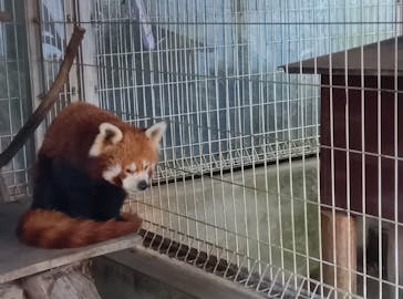 熱川バナナワニ園に投稿された画像（2025/12/29）