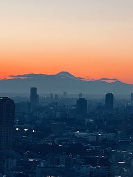 東京タワーに投稿された画像（2025/12/29）