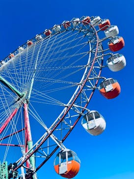 さがみ湖MORI MORIに投稿された画像（2025/12/29）