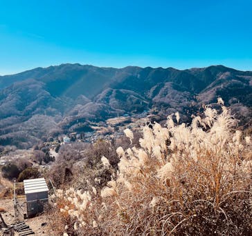 さがみ湖MORI MORIに投稿された画像（2025/12/29）