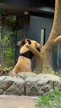 恩賜上野動物園に投稿された画像（2025/12/30）