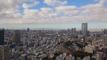 東京タワーに投稿された画像（2025/12/29）