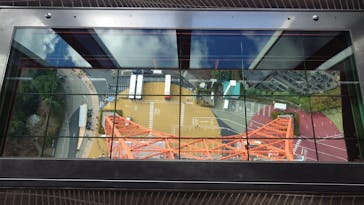 東京タワーに投稿された画像（2025/12/29）