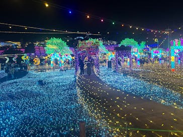 伊豆高原グランイルミに投稿された画像（2025/12/29）