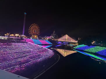 レオマリゾートに投稿された画像（2025/12/29）