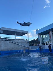 大分マリーンパレス水族館 「うみたまご」に投稿された画像（2025/12/29）