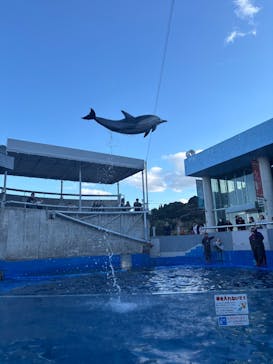大分マリーンパレス水族館 「うみたまご」に投稿された画像（2025/12/29）