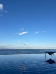 大分マリーンパレス水族館 「うみたまご」に投稿された画像（2025/12/29）