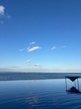 大分マリーンパレス水族館 「うみたまご」に投稿された画像（2025/12/29）